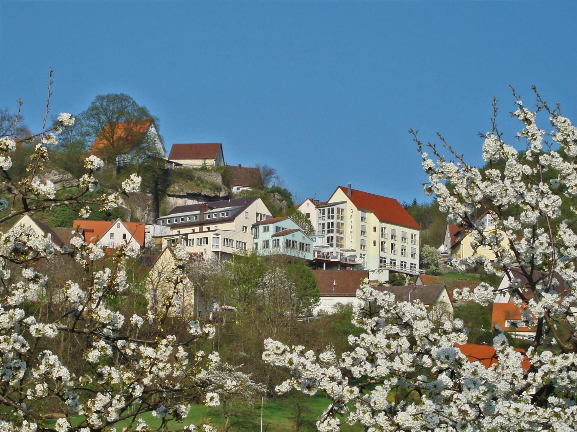Berggasthof Hotel Igelwirt Schnaittach Luaran gambar